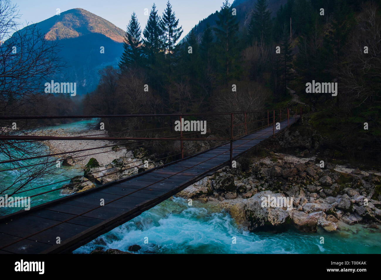 La rivière Soca. Parc National de Triglav. La Slovénie Banque D'Images