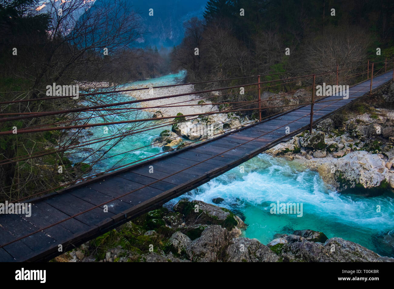 La rivière Soca. Parc National de Triglav. La Slovénie Banque D'Images