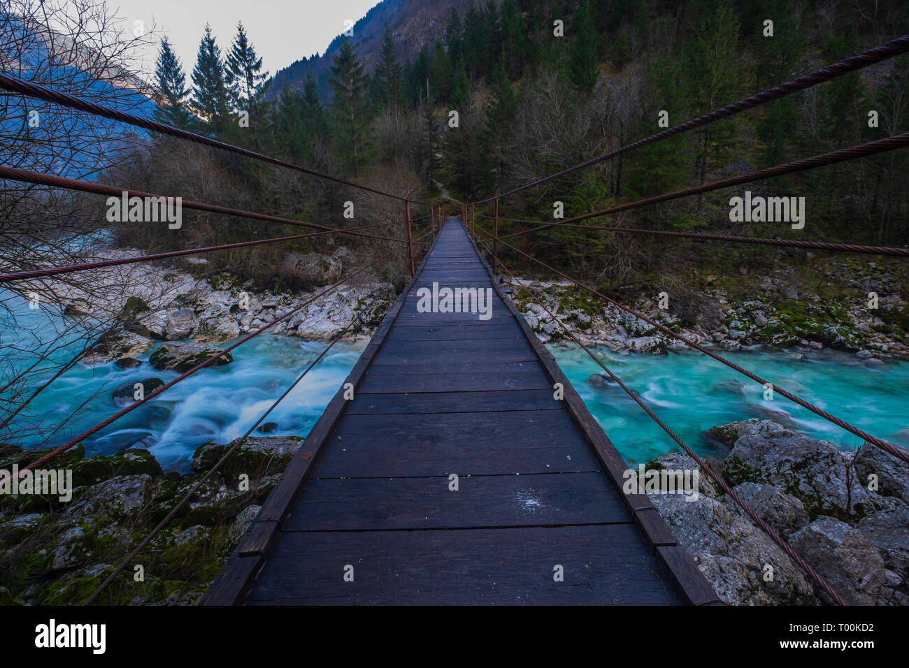 La rivière Soca. Parc National de Triglav. La Slovénie Banque D'Images