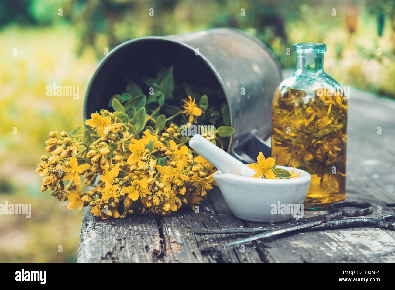 St Johns millepertuis fleurs, bouteille d'huile ou de l'infusion, mortier et big vintage metal mug de plantes Hypericum sur planche de bois à l'extérieur. Banque D'Images