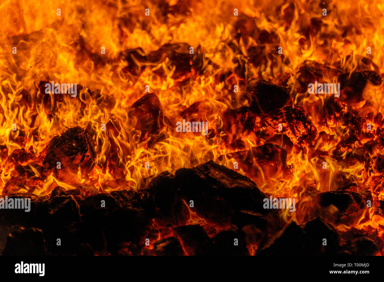 Vue rapprochée de l'ébullition des flammes dans un incendie alimenté par du charbon vapeur. Banque D'Images