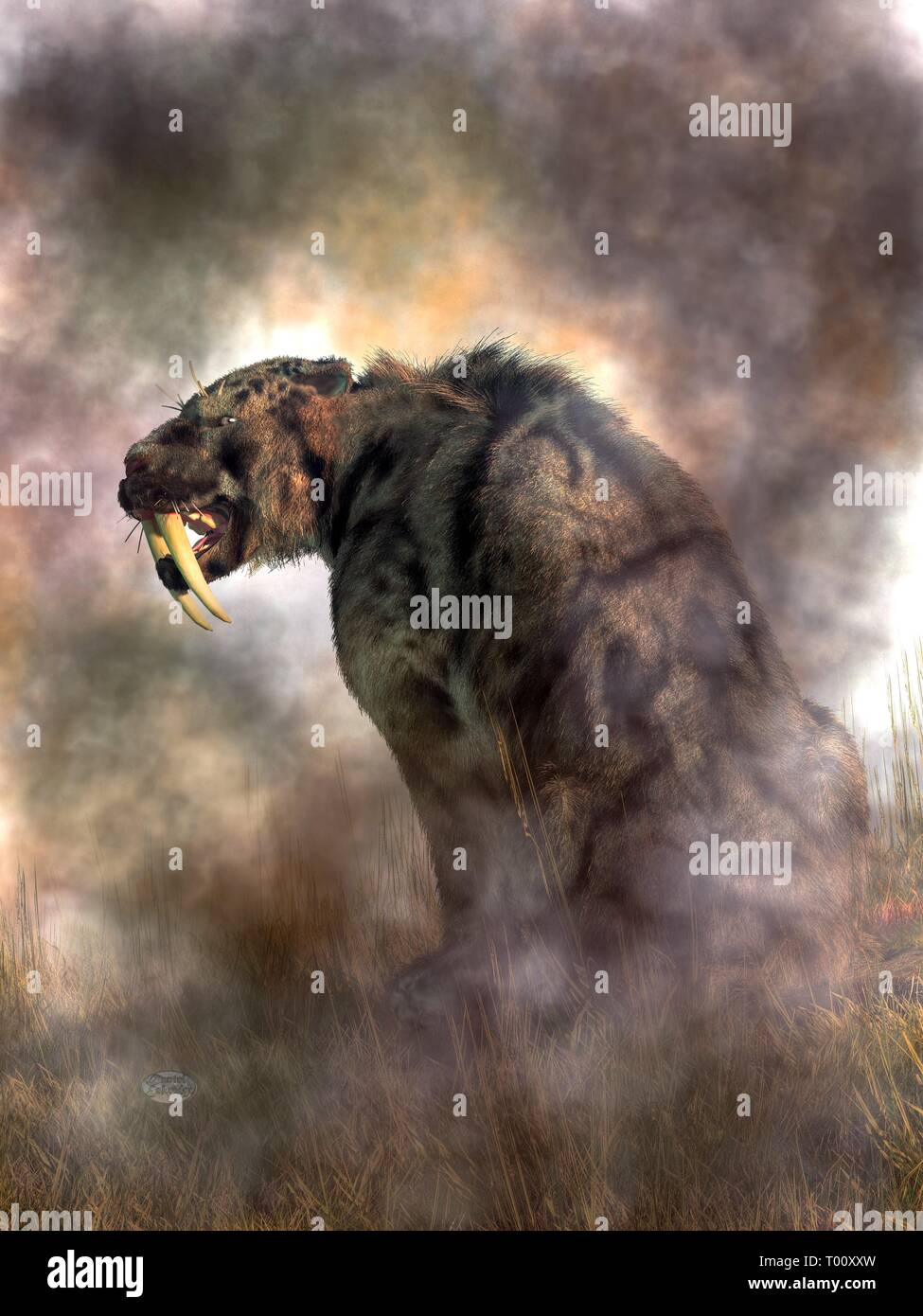 Shaggy un tigre à dents de chat avec un manteau schéma que d'un nuage leopard vous montre ses dents méchant en profil. Banque D'Images Shaggy un tigre à dents de chat avec un manteau schéma que d'un nuage leopard vous montre ses dents méchant en profil. Banque D'Images