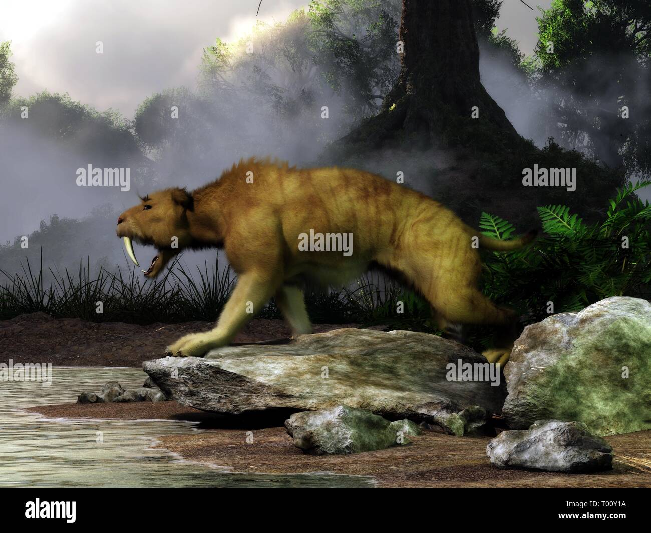 Un smilodon porte ses dents de sabre méchants. L'animal aujourd'hui disparu se dresse sur un rocher par un étang dans une ère pléistocène foreat. Banque D'Images Un smilodon porte ses dents de sabre méchants. L'animal aujourd'hui disparu se dresse sur un rocher par un étang dans une ère pléistocène foreat. Banque D'Images