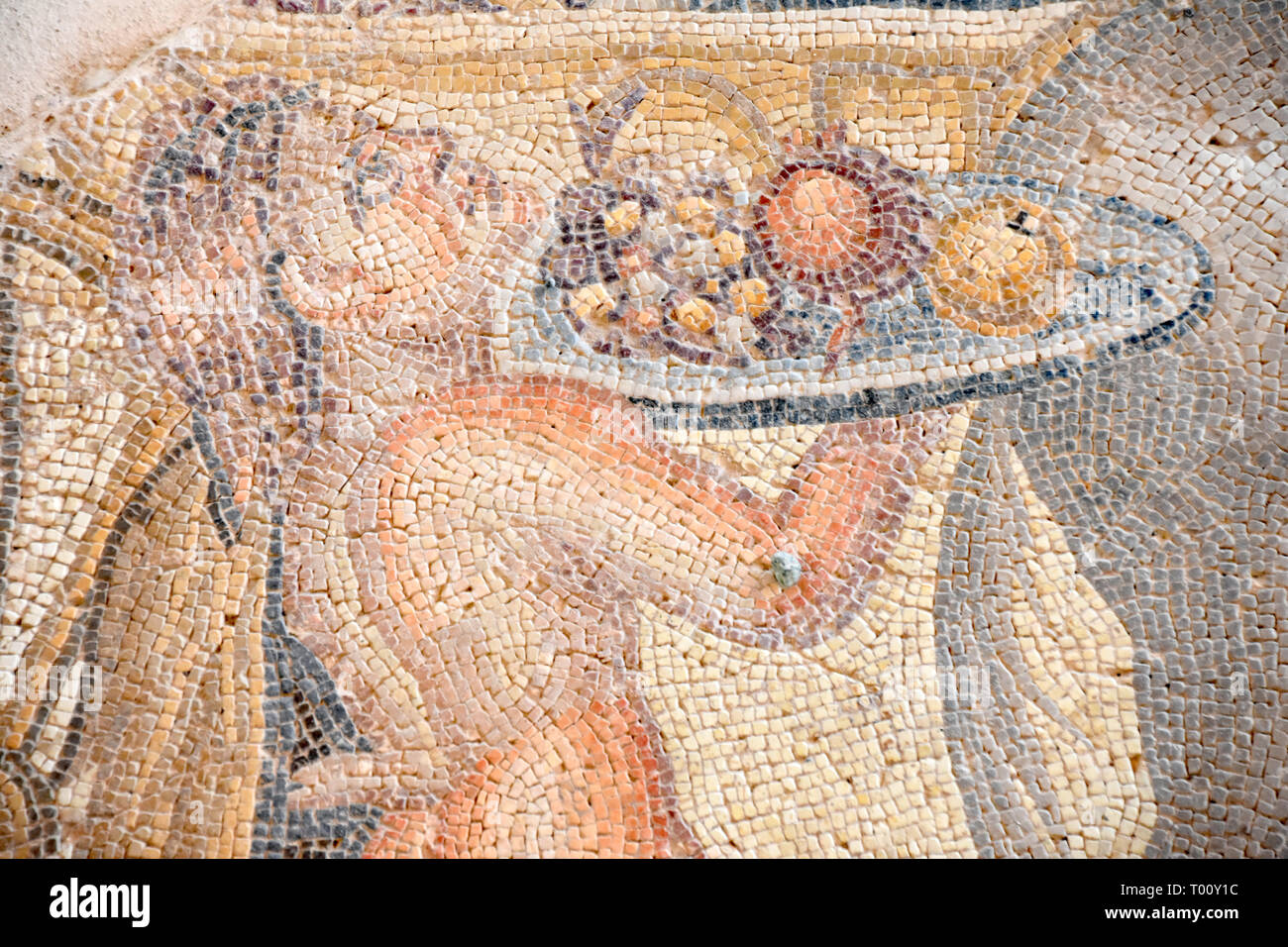 Une belle mosaïque de bord dans l'étage d'une villa romaine à l'UNESCO site de Kato Pafos, au sud de Chypre. Cette mosaïque est dans la maison d'Aion un Banque D'Images