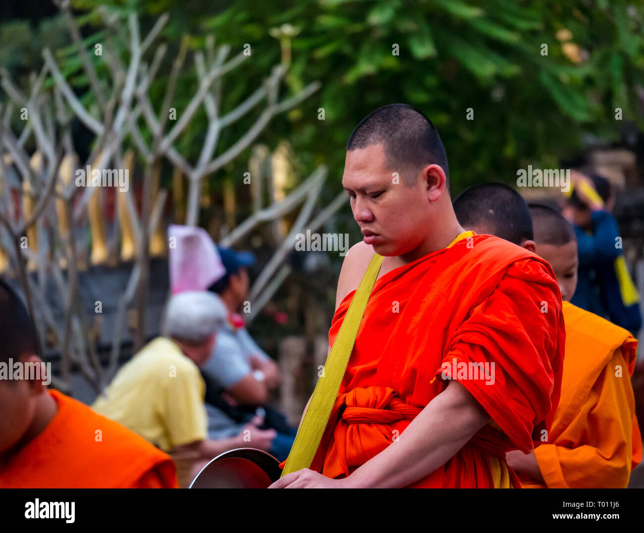 Matin l"aumône cérémonie pour les moines bouddhistes, Luang Prabang, Laos Banque D'Images