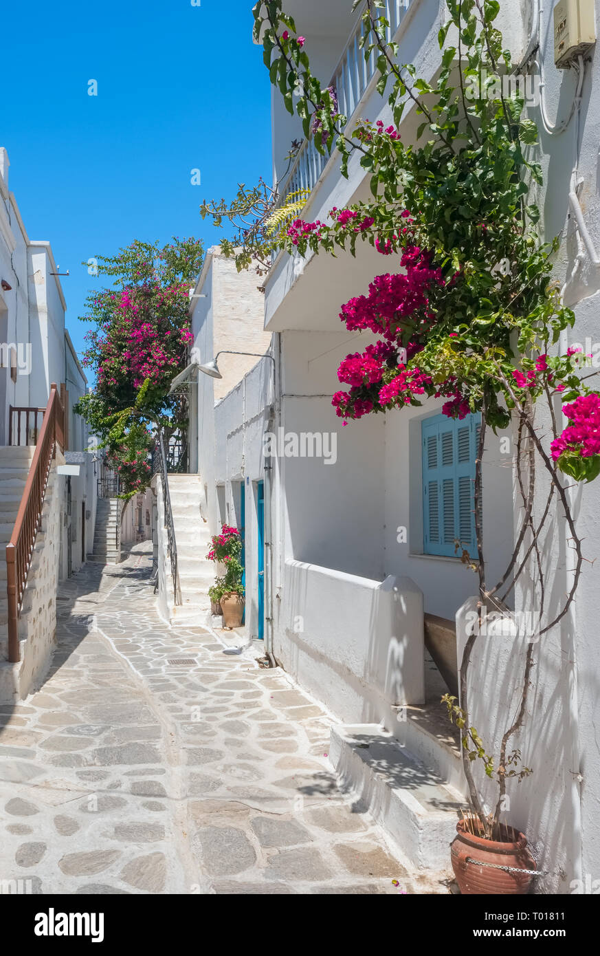 Vue typique d'une rue étroite dans la vieille ville de Naoussa, Paros, Cyclades, Grèce Banque D'Images