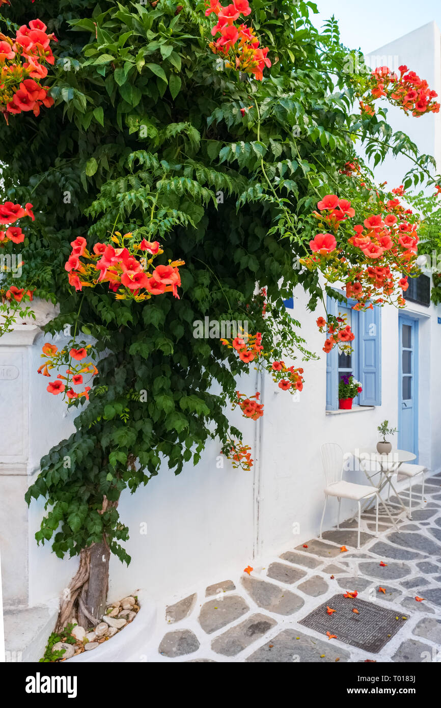 Vue typique d'une rue étroite dans la vieille ville de Naoussa, Paros, Cyclades, Grèce Banque D'Images