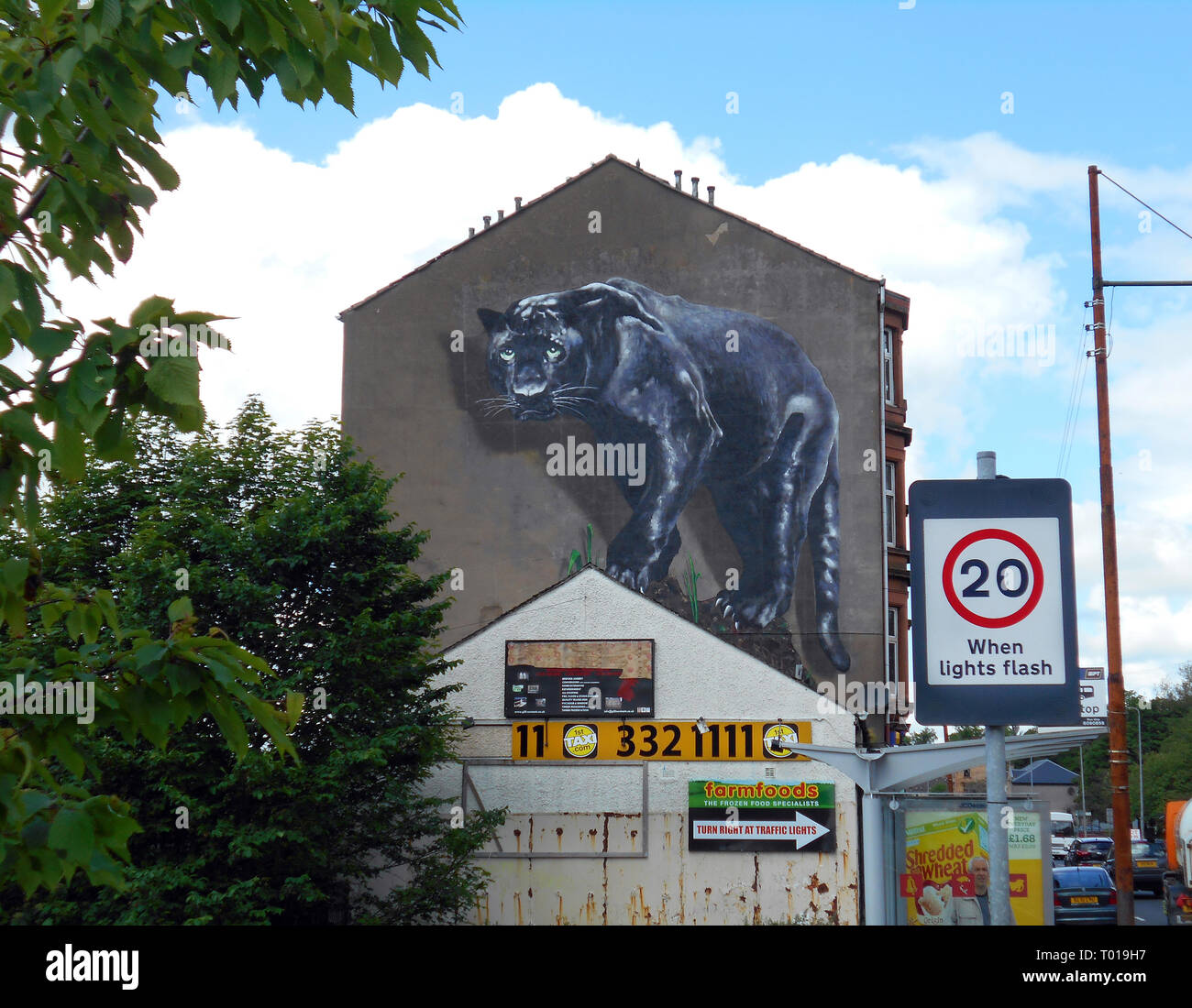 Parmi les arbres, le trafic, les plaques de rue et des panneaux publicitaires, l'image de cet énorme panthère noire se profile à partir du mur pignon d'un immeuble à Glasgow, en Écosse. Alan Wylie/Alamy© Banque D'Images