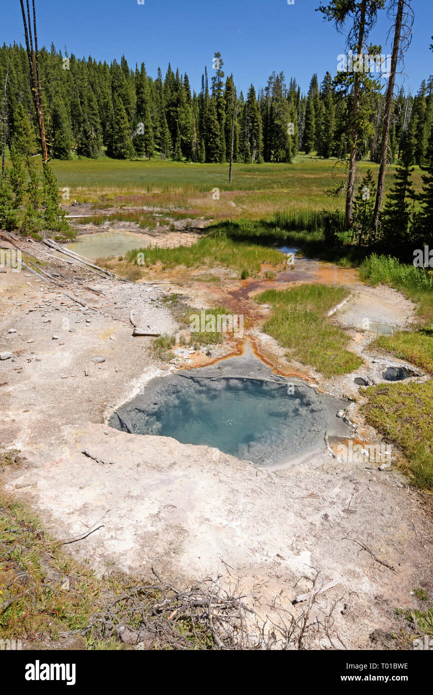 Piscine thermale colorée dans le désert près du Bassin Thermal Shoshone dans le Parc National de Yellowstone dans le Wyoming Banque D'Images