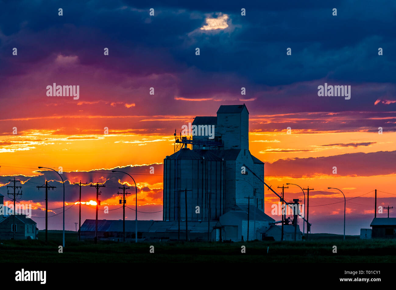 Les silos à grains au coucher du soleil, Warner, Alberta, Canada Banque D'Images