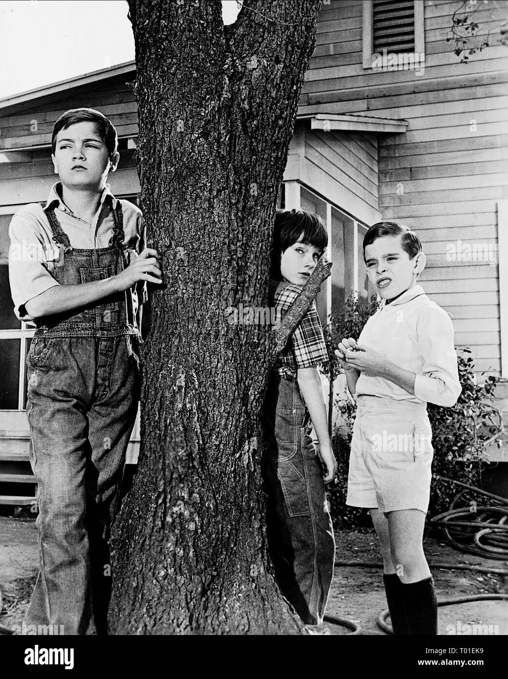 PHILLIP ALFORD, MARY BADHAM, JOHN MEGNA, TO KILL A MOCKINGBIRD, 1962 Banque D'Images