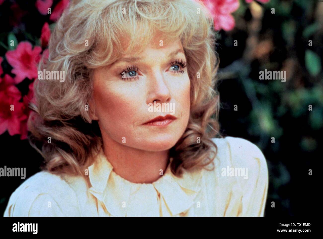 SHIRLEY MACLAINE, TERMES D'AFFECTION, 1983 Banque D'Images