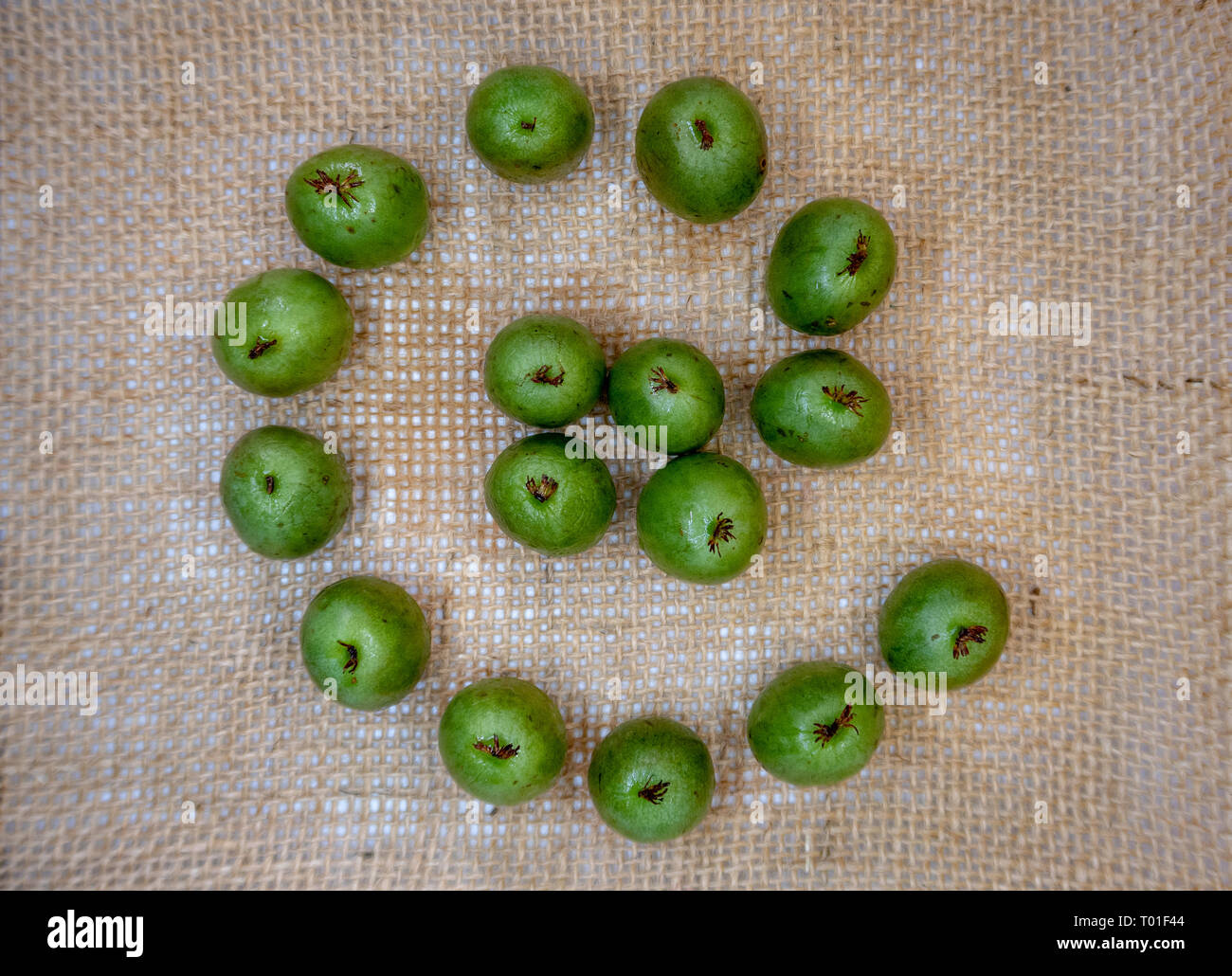 L'été kiwiberries vert frais sur un fond de toile de jute Banque D'Images