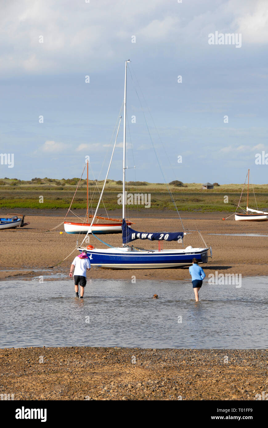 Couple, avec petit chien, marcher dans l'eau peu profonde à marée basse pour rejoindre yacht, Brancaster Staithe, Norfolkk, Angleterre Banque D'Images