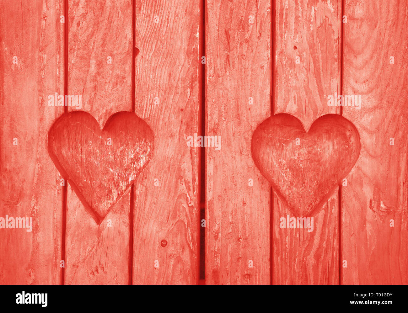Près de deux éléments en forme de coeur, symbole de l'amour, de romance et de convivialité, le bois coupé en planches en bois sculpté texture background, peint rose corail Banque D'Images