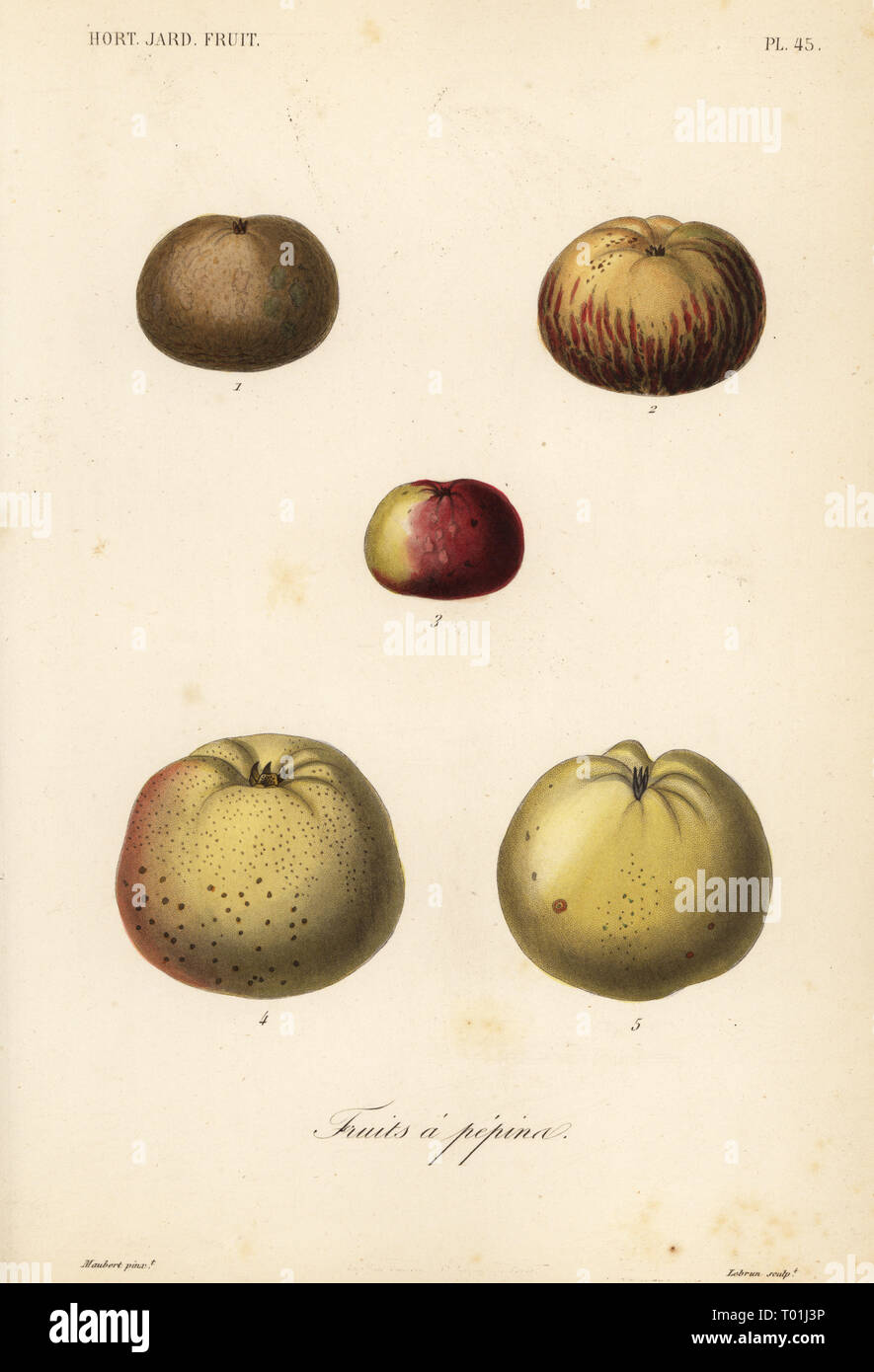 paris fruits banque d image et photos page 6 alamy
