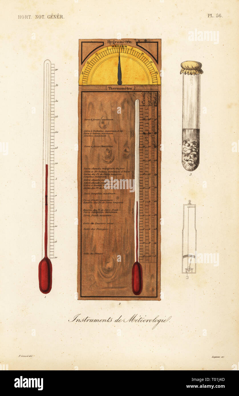 Thermomètre Forricelli à Bordeaux – Noyer, Instrument Météo Ancien (occasion)