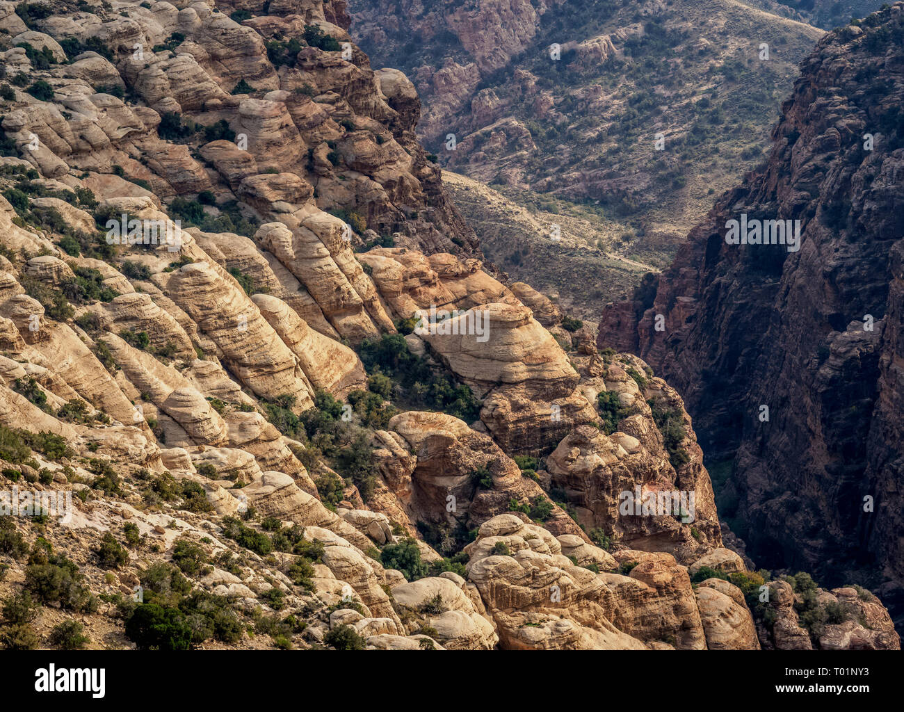 Réserve de biosphère de Dana, elevated view, le Gouvernorat de Tafilah, Jordanie Banque D'Images