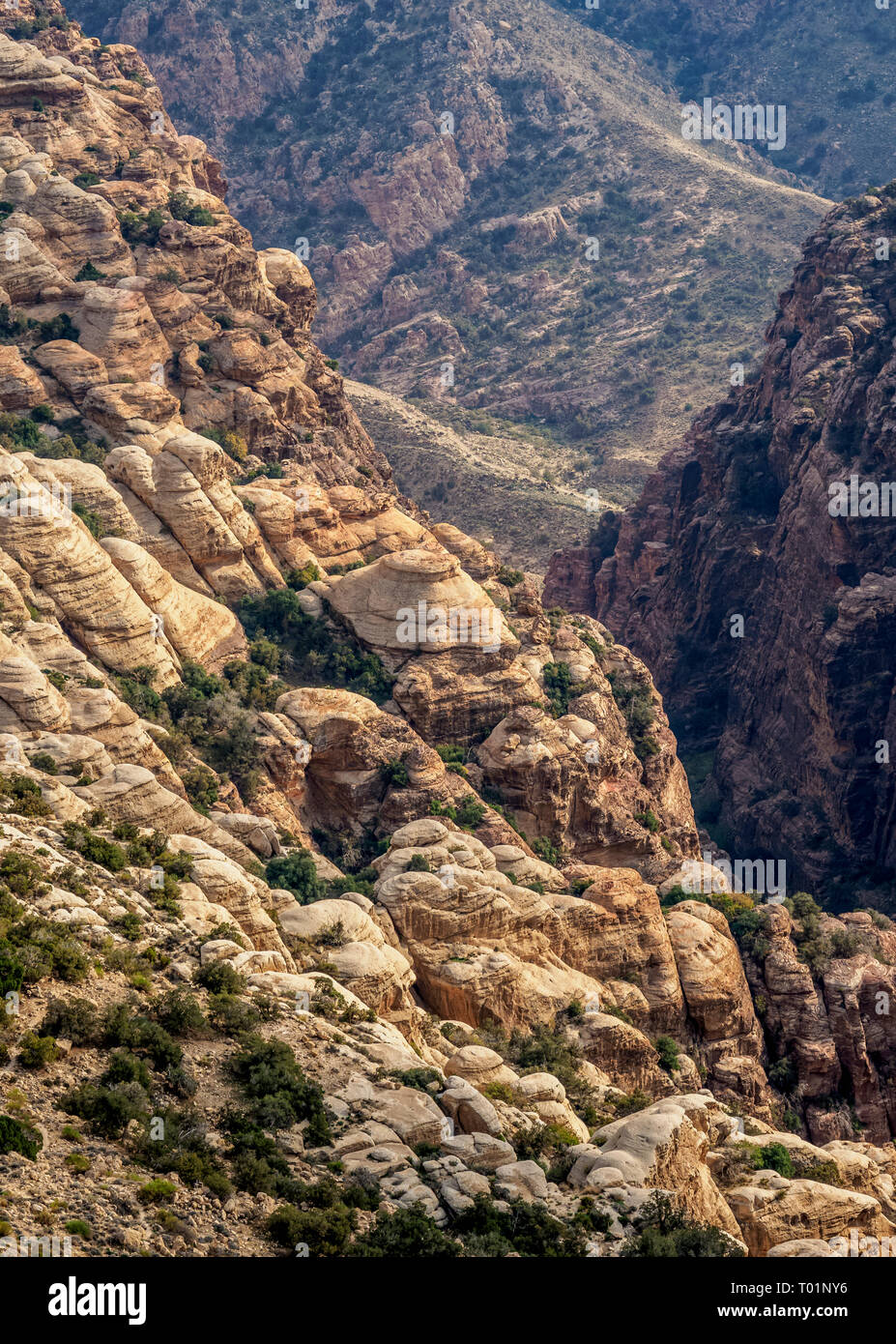 Réserve de biosphère de Dana, elevated view, le Gouvernorat de Tafilah, Jordanie Banque D'Images