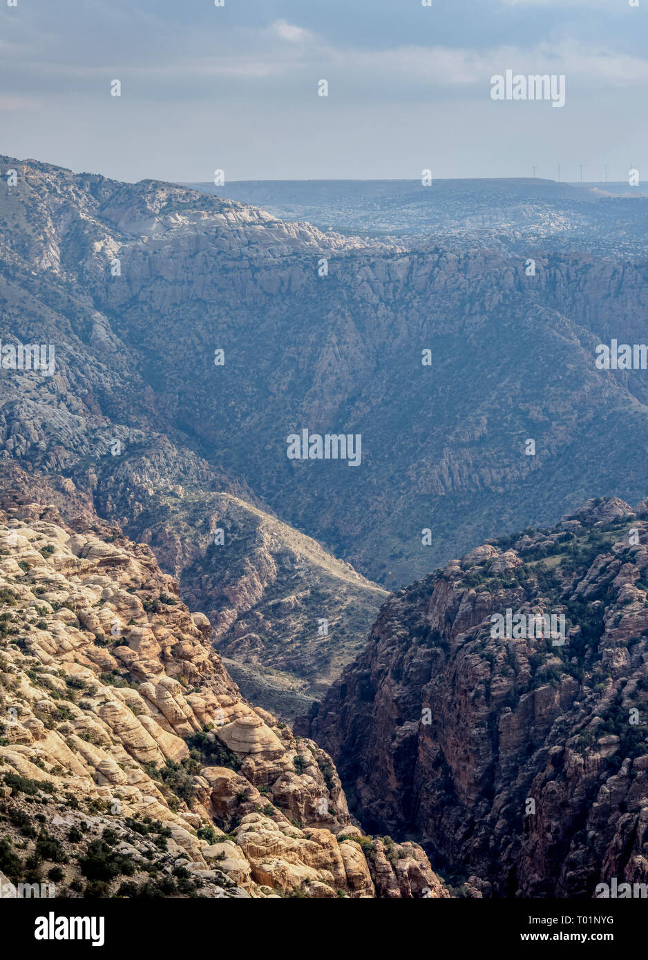 Réserve de biosphère de Dana, elevated view, le Gouvernorat de Tafilah, Jordanie Banque D'Images