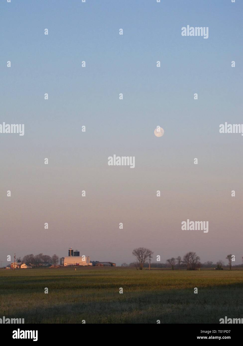 Matin la lune sur la ferme laitière de l'Illinois Banque D'Images