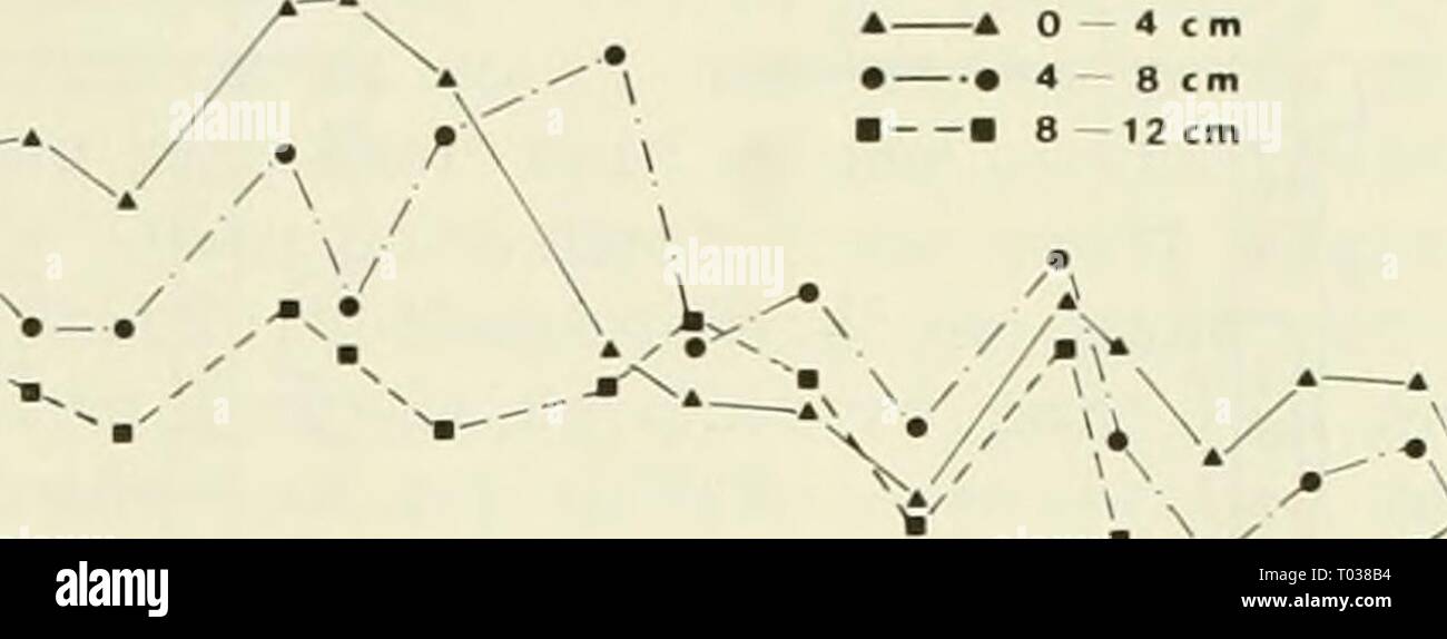Étude écologique de la marée noire de l'Amoco Cadiz : rapport de la NOAA-Commission mixte scientifique CNEXO . ecologicalstudyo00noaa Année : 1982 10 hP UN** V -1TTI âI &Lt ; 5- pg/g i a 0 4 cm Â" â ¢ 4 8 cm I â 8 12cm A s&Â§ Banque D'Images