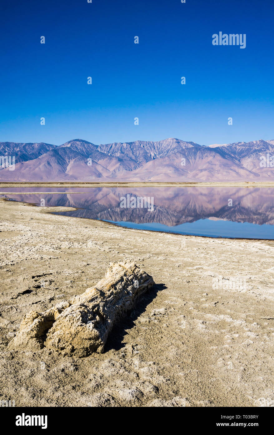 Owen's Lake près de Keeler en Californie montrant un reflet de la Sierra Nevada. Le lac est une source de la plus grande des États-Unis les tempêtes de poussière. Banque D'Images