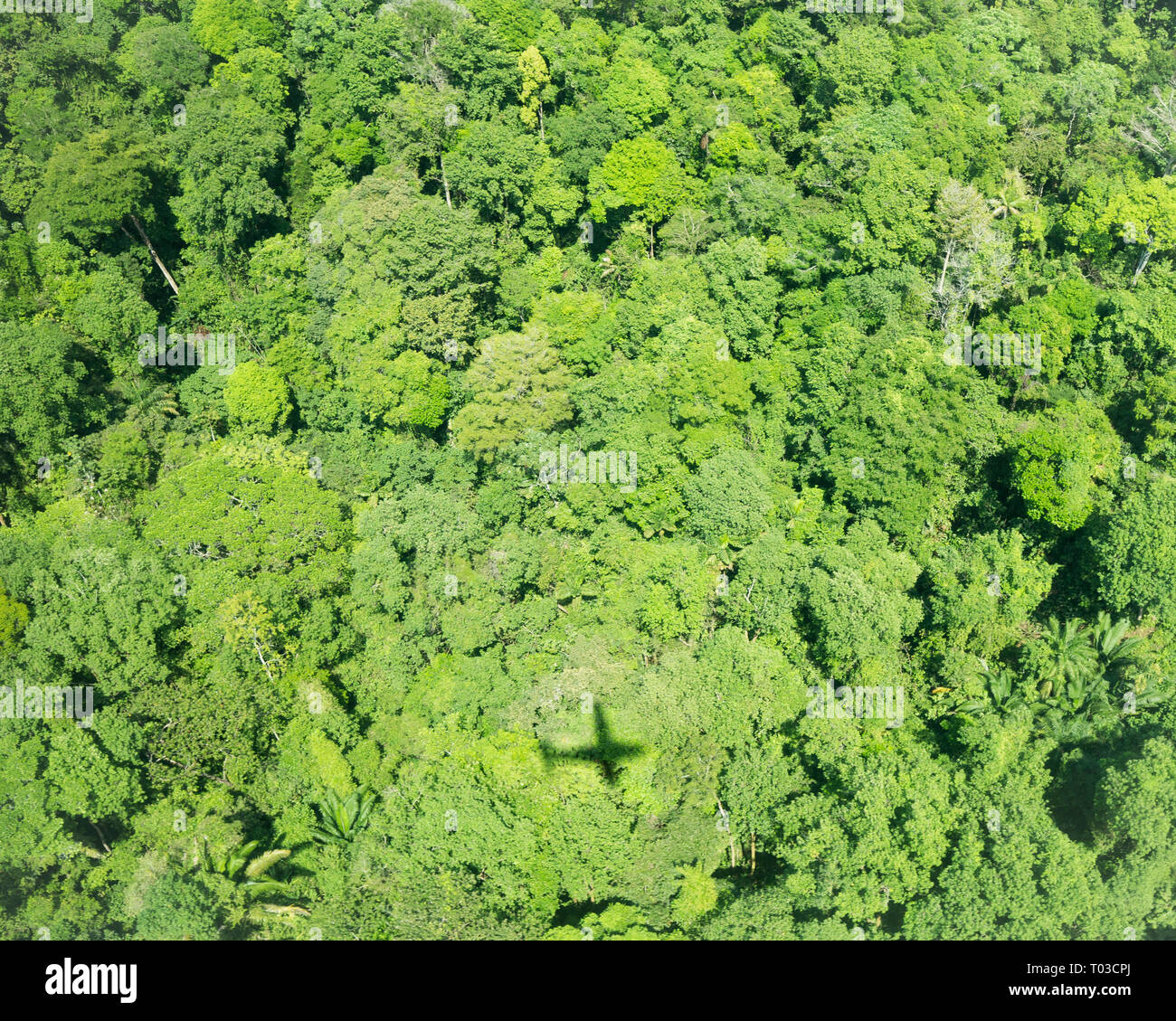 Costa Rica Rainforest jungle airplane, péninsule d'Osa, près de la baie Drake. Banque D'Images