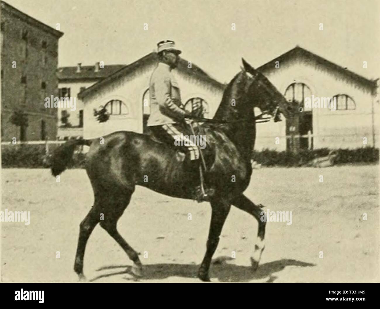 Du cheval mû et bien mis : suite de causeries écrites au fil de la pratique  . duchevalmetbie00caub Année : 1906 Tig. 24. ^T ig- 25. Mixte Ceinture  elastique Longueur entrejambe 80