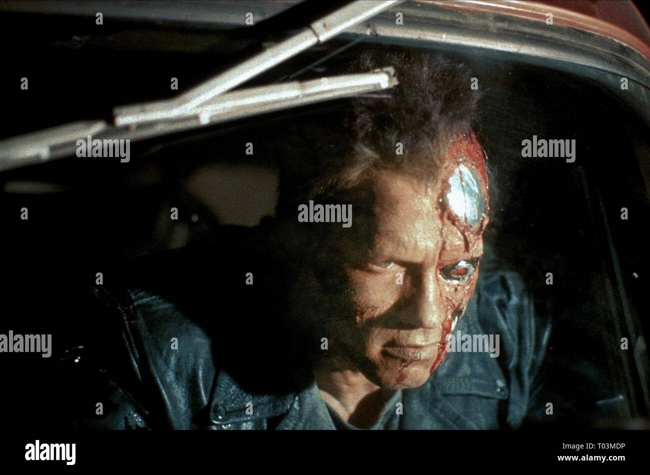 Terminateur arnold schwarzenegger Banque de photographies et d’images à ...