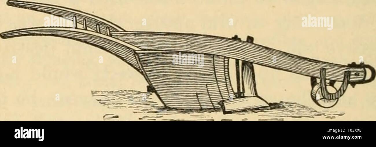 Principes élémentaires de l'agriculture : un manuel pour les écoles communes . elementaryprinci02ferg Année : 1913 274 Principes élémentaires de l'Agriculture similaires à ceux utilisés par les Égyptiens trois ans avant de sable- tu. Il convient de noter que nombre des plus grands des premiers Américains étaient intéressés par le développement de la charrue, les mettre en œuvre fondamentale du travail du sol. Thomas Jefferson et Daniel Webster avait planifié des charrues et construits, qui ont été des améliorations par rapport aux types précédents. En 1797, Charles Newbold a introduit la charrue en fer, mais il est enregistré que les agriculteurs de cette Banque D'Images