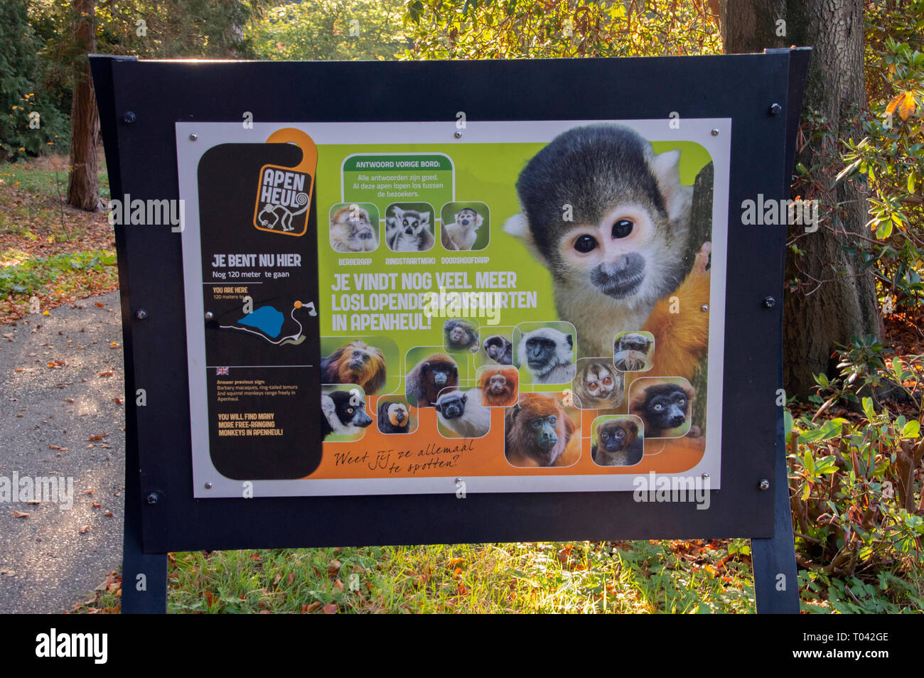 Le Billboard At Zoo Apenheul à Apeldoorn aux Pays-Bas 2018 Banque D'Images