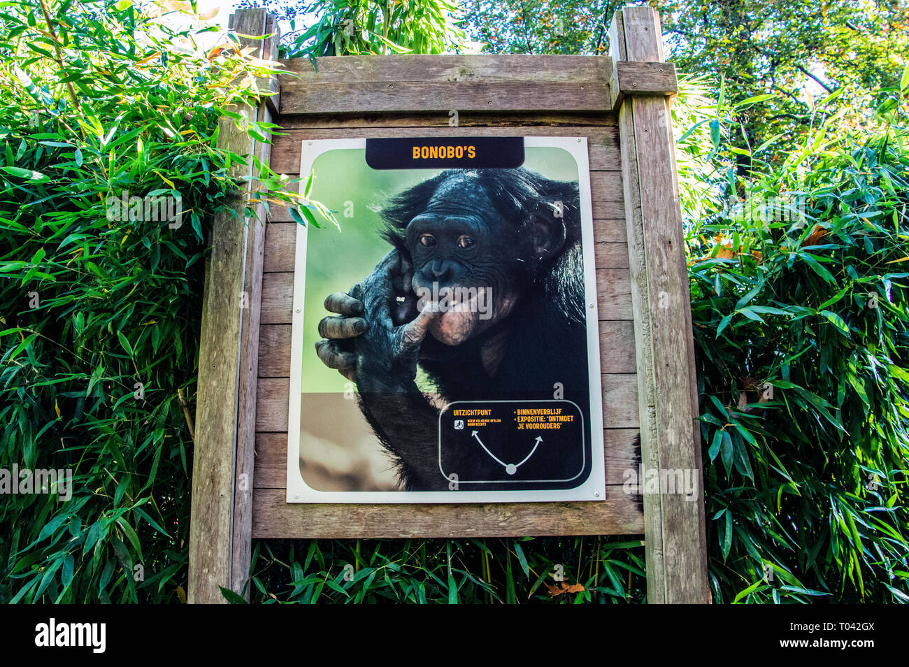 Le Billboard At Zoo Apenheul à Apeldoorn aux Pays-Bas 2018 Banque D'Images