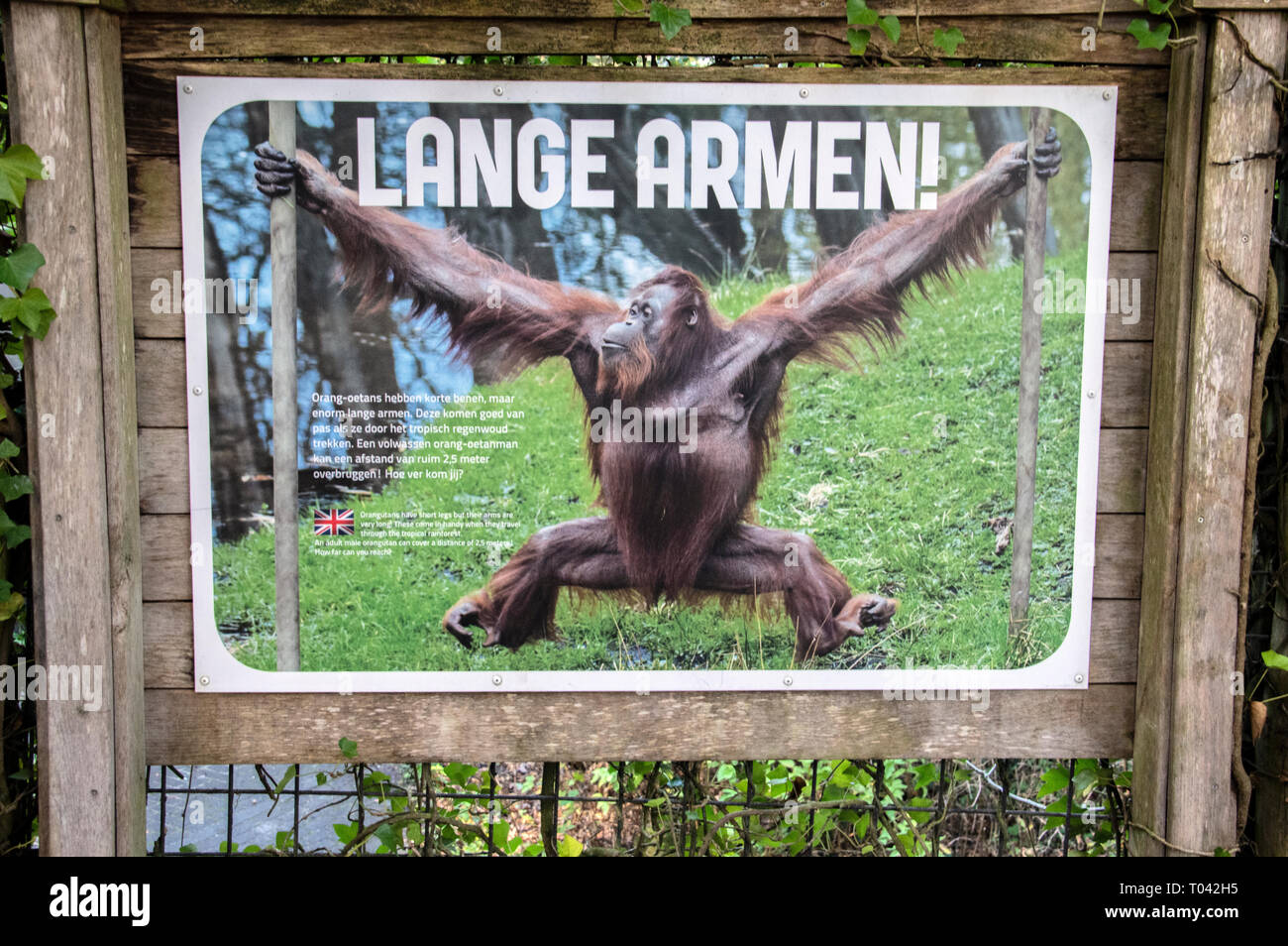 Le Billboard At Zoo Apenheul à Apeldoorn aux Pays-Bas 2018 Banque D'Images