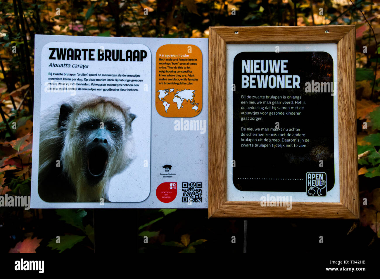 Le Billboard At Zoo Apenheul à Apeldoorn aux Pays-Bas 2018 Banque D'Images