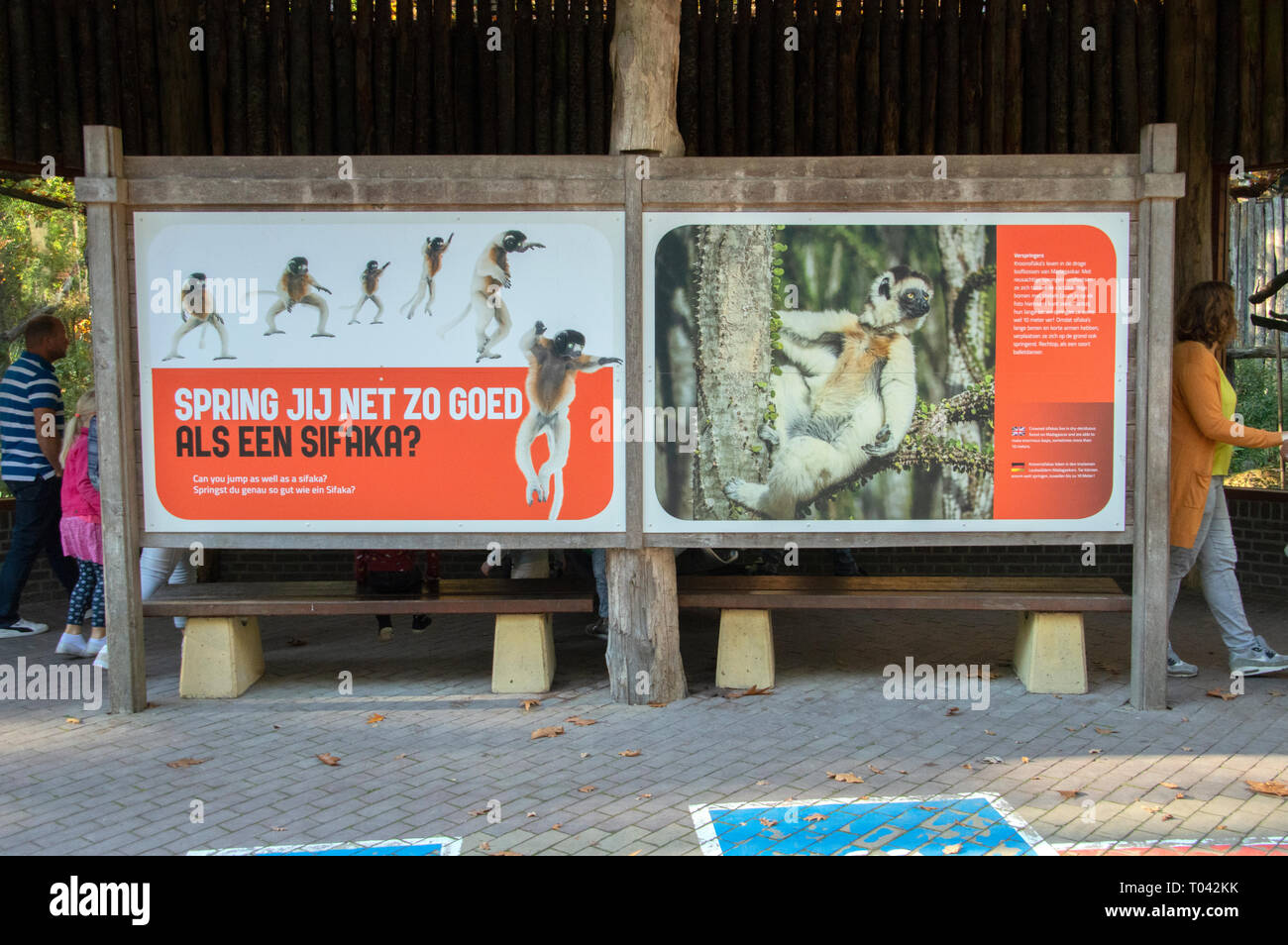Le Billboard At Zoo Apenheul à Apeldoorn aux Pays-Bas 2018 Banque D'Images