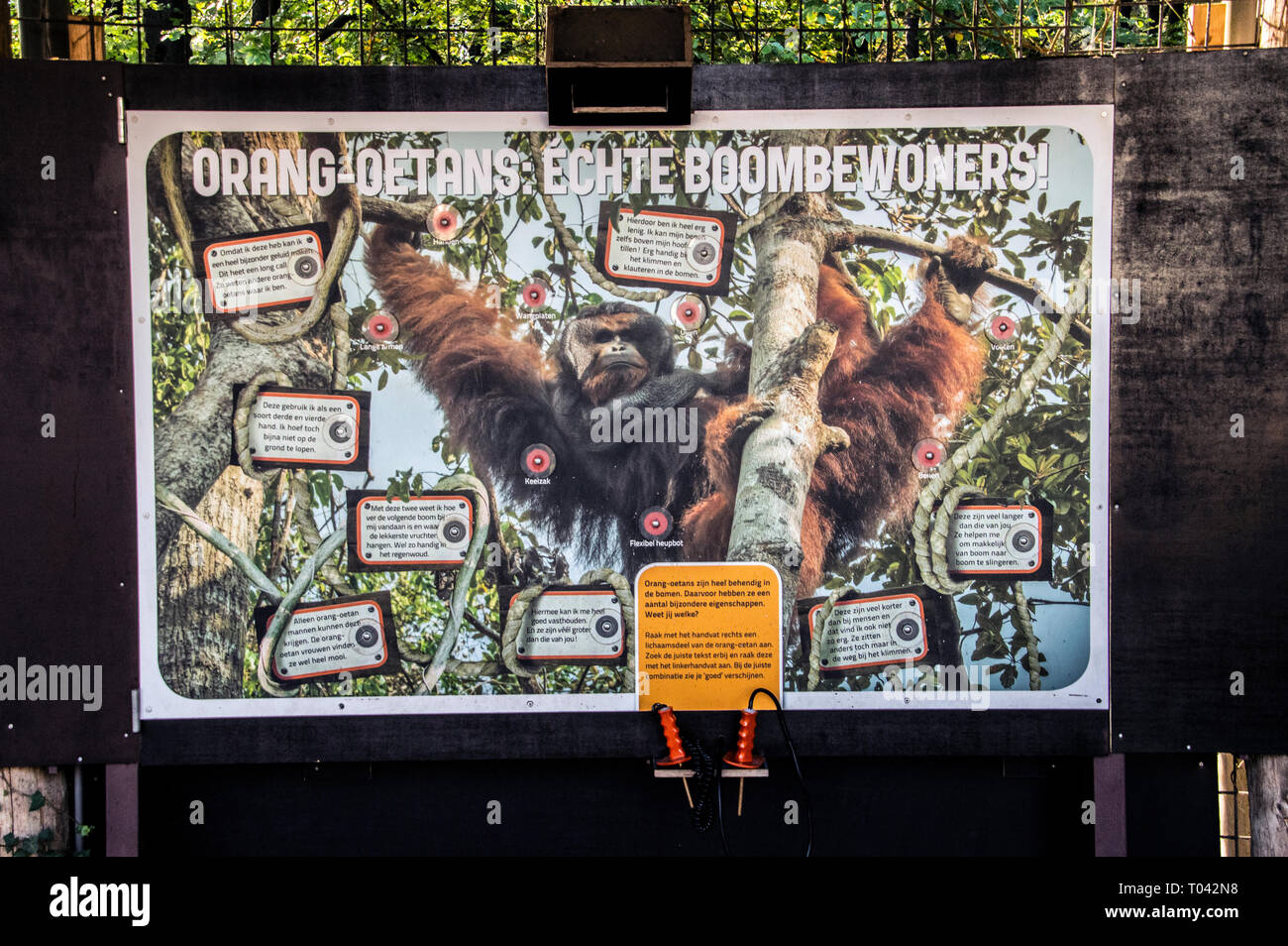Le Billboard At Zoo Apenheul à Apeldoorn aux Pays-Bas 2018 Banque D'Images