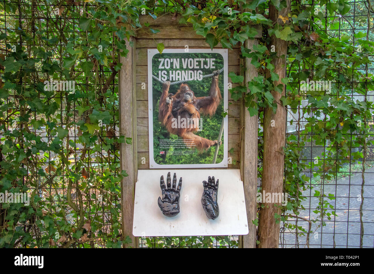 Le Billboard At Zoo Apenheul à Apeldoorn aux Pays-Bas 2018 Banque D'Images