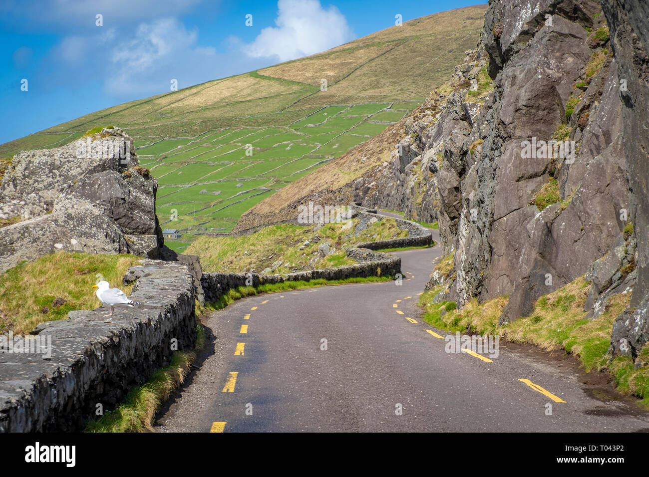 Slea Head, péninsule de Dingle, Co Kerry, Ireland Banque D'Images