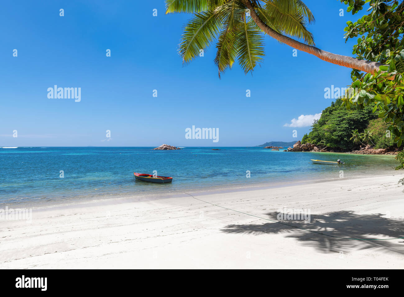 Plage de sable avec des cocotiers et la mer turquoise sur les Seychelles Banque D'Images