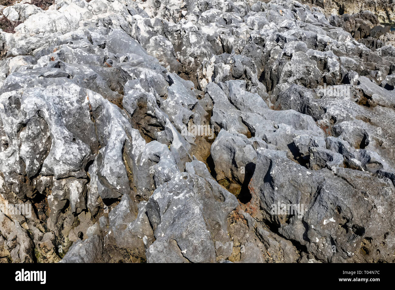 La mer des rochers calcaires escarpées à marée basse Banque D'Images