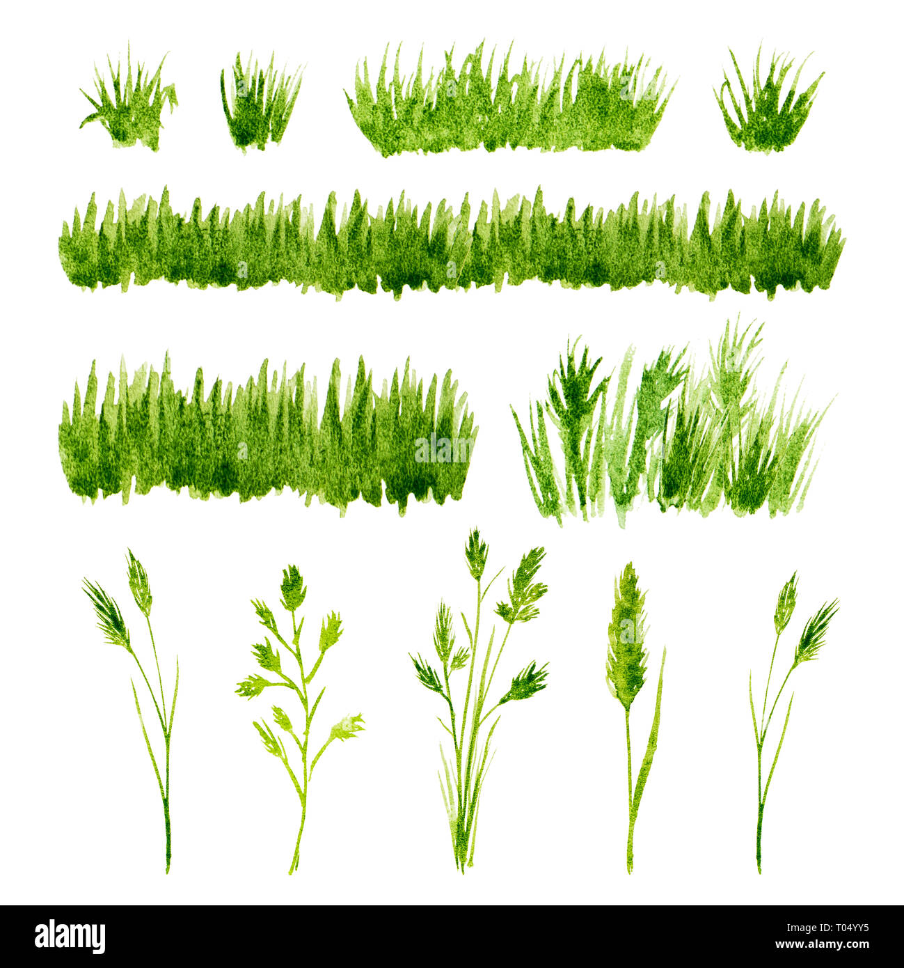 Ensemble de l'herbe verte aquarelle sur fond blanc Photo Stock - Alamy