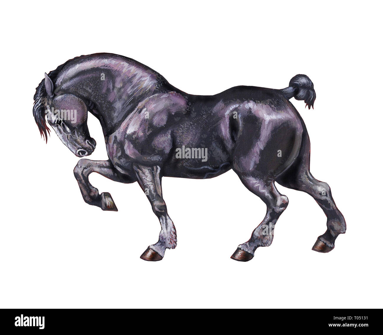 Projet de l'illustration. Portrait de cheval. L'acrylique. Banque D'Images