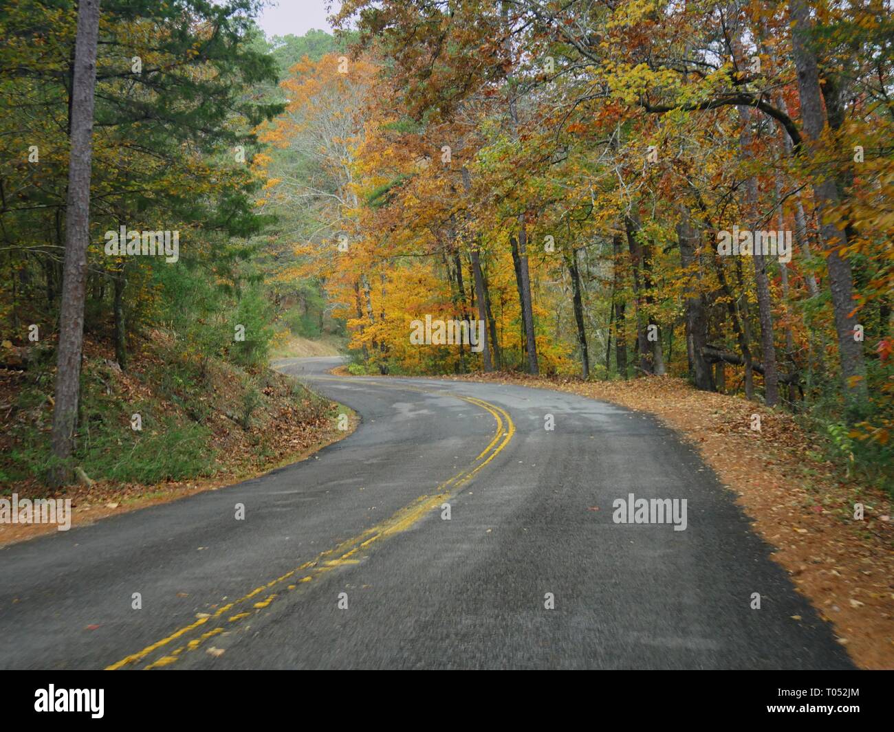 Route sinueuse dans un parc bordé d'arbres en automne coloré Banque D'Images