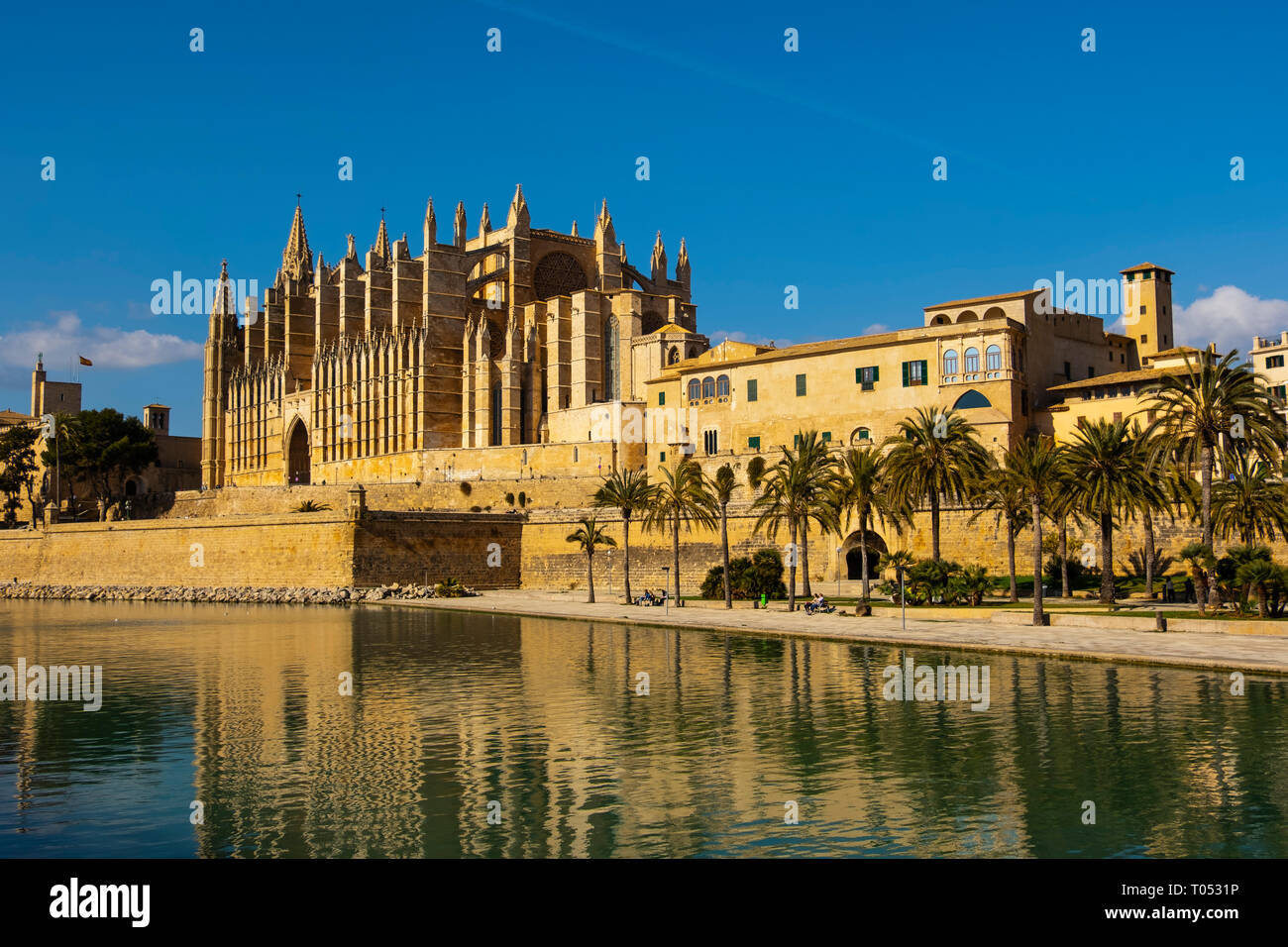 Cathédrale La Seu, Parc del Mar et Royal Palais de la Almudaina, Palma de Majorque. Majorque, Baléares, Espagne Europe Banque D'Images