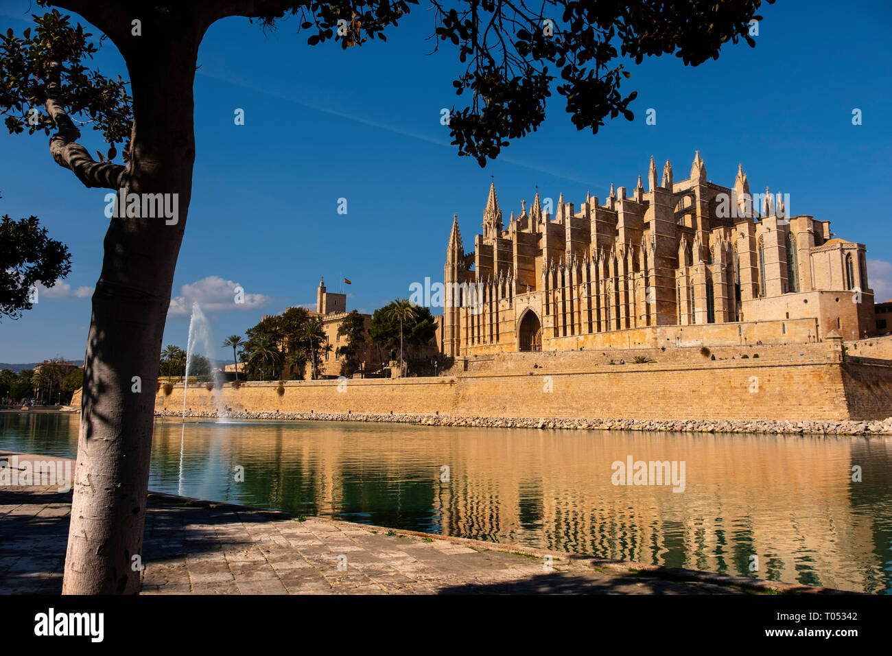 Cathédrale La Seu, Parc del Mar et Royal Palais de la Almudaina, Palma de Majorque. Majorque, Baléares, Espagne Europe Banque D'Images