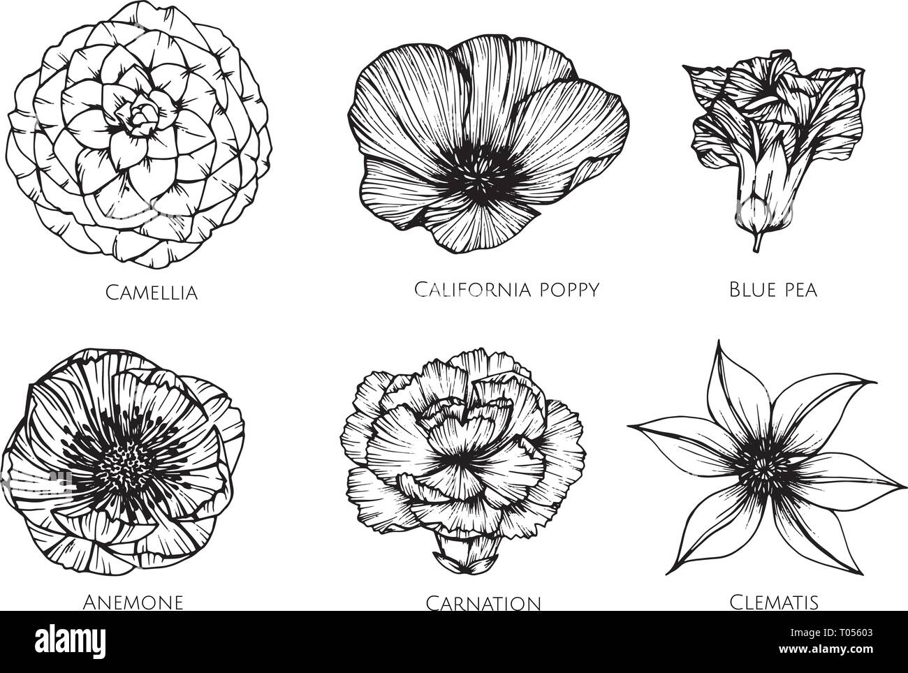 Collection série de dessin de fleurs. illustration pour motif, logo