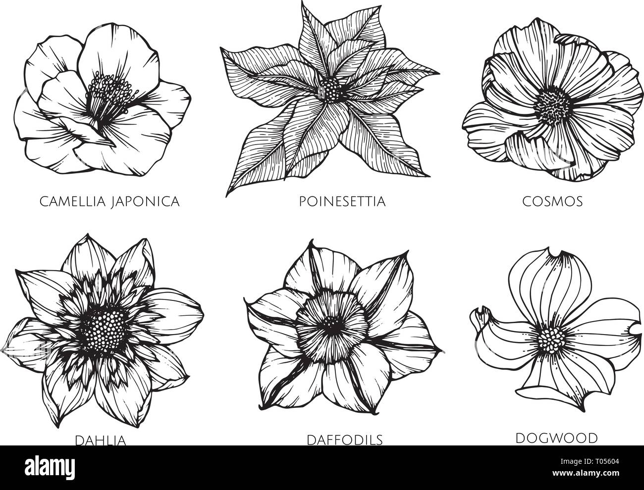 Collection série de dessin de fleurs. illustration pour motif, logo
