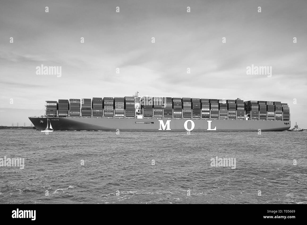 Photo en noir et blanc du navire porte-conteneurs ULCS, MOL TRIBUTE, entre dans l'étroit canal en eau profonde dans le port de Southampton après Un voyage de 26 jours. Banque D'Images