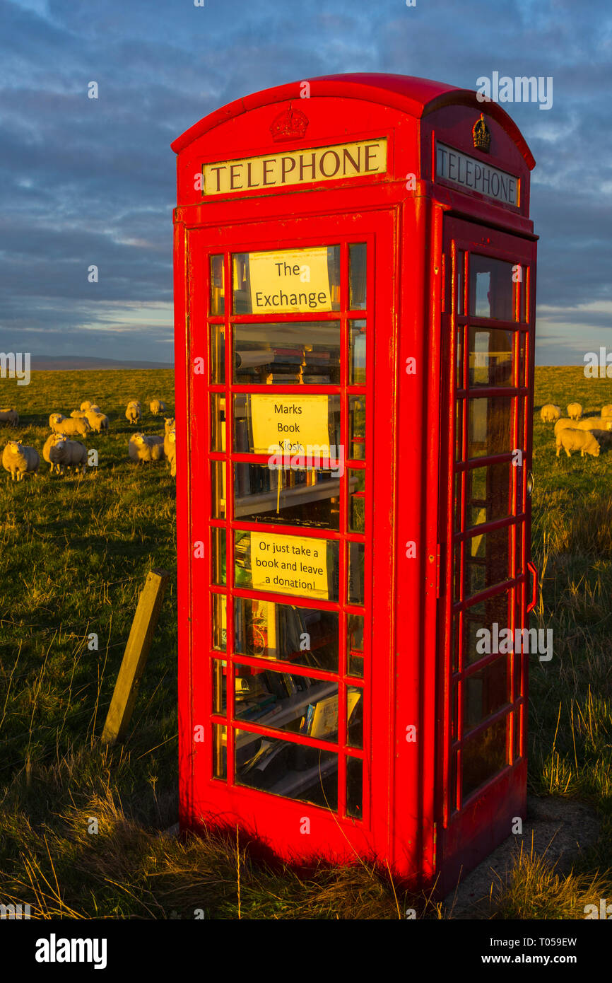 L'échange, ou des marques d'adresses kiosque, dans un ancien fort téléphone BT. Dans Scarfskerry, Caithness, Ecosse, Royaume-Uni Banque D'Images